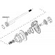 W8000275 - Rear Axle Outer Gasket