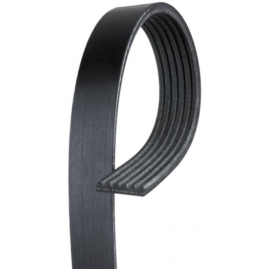 W8800309  -  Belt-fan& W/pmp& Gen&p/s  Pum