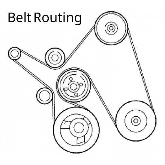 W8831715  -  Workhorse W-Series 8.1L Serpentine Drive Belt