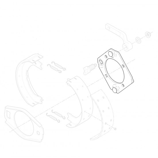 W8000229  -  Backing Plate Asm